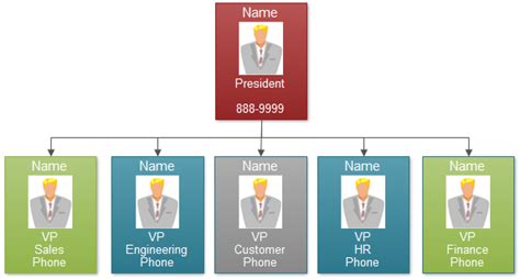 Functional Organizational Chart