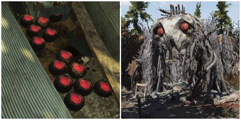 Fallout 76: Mothman Egg Locations