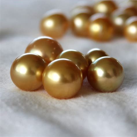 South Sea Pearls | Kloiber Jewelers