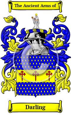 Darling Name Meaning, Family History, Family Crest & Coats of Arms