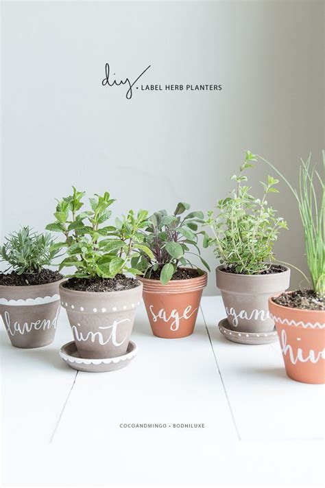 DIY Labeled Indoor Herb Planters | Indoor herb planter, Herb planters ...