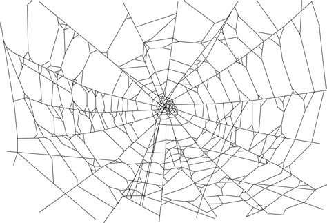 Spider Web File Transparent HQ PNG Download | FreePNGImg