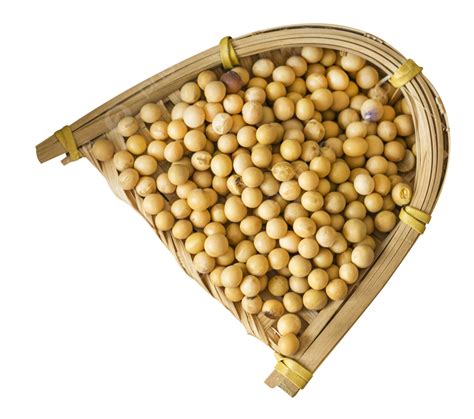 Soy Beans, Soybean, Peas And Beans, Food PNG Transparent Image and ...