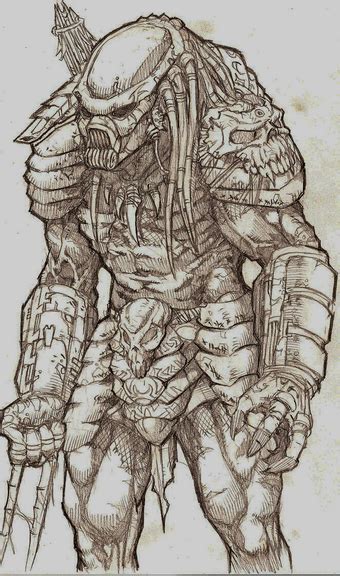 predator drawing by overdrivezero on DeviantArt