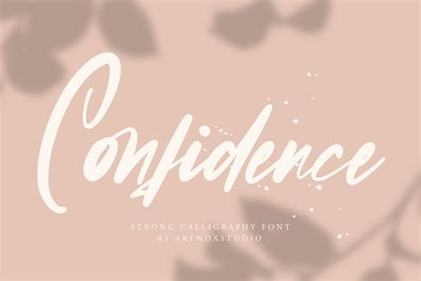 Confidence - Calligraphy Font | Script Fonts ~ Creative Market