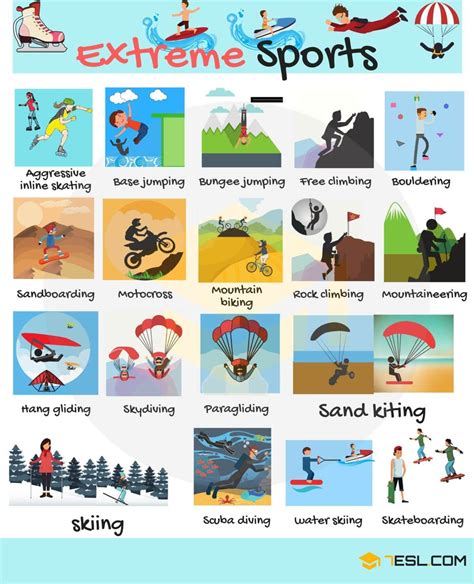 Sports Vocabulary: Key Terms Every Athlete Should Know • 7ESL | English vocabulary, Learning ...