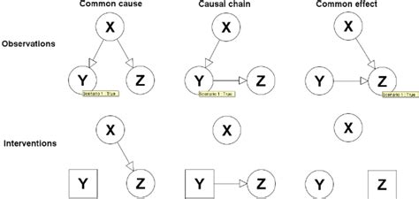 The three basic DAG models with examples of observations, which are... | Download Scientific Diagram