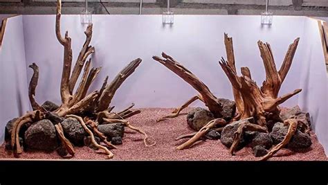 Aquarium Driftwood - SG Aquascapes