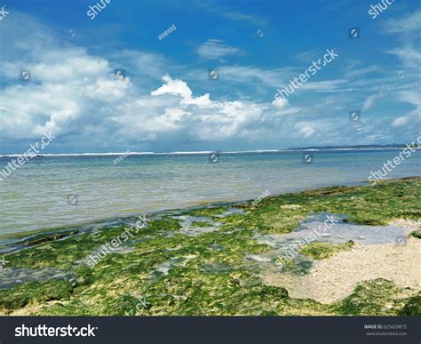 Ujung Genteng Beach Beautiful Beach Indonesia Stock Photo 625620815 ...