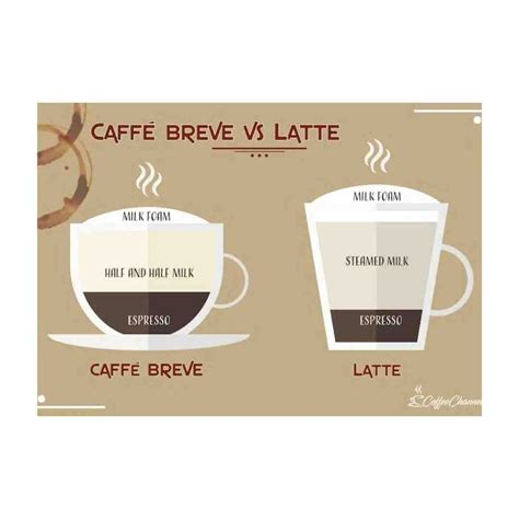 What Is A Breve Coffee? Detailed Breakdown For 2023