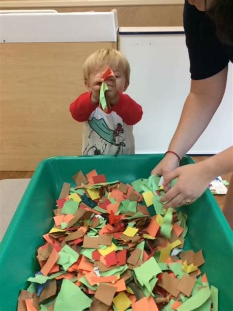 The Best Fall Sensory Bins for Toddlers and Preschoolers. TeachersMag.com