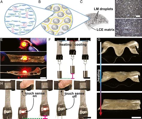 Soft robotics: Self-healing material sees applications in artificial muscles | Science Times