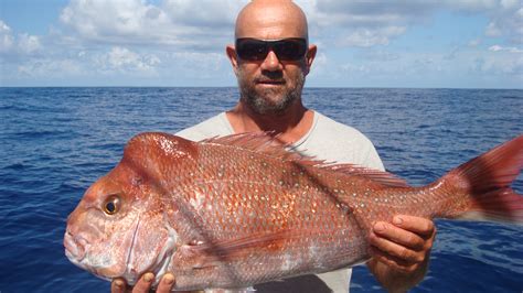 Catches — Rainbow Beach Fishing Charters