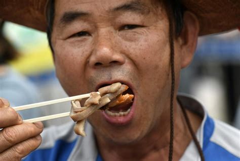 South Korea to ban divisive practice of eating dog meat, ruling party says