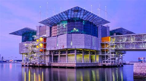 Oceanário de Lisboa - O segundo maior aquário da Europa