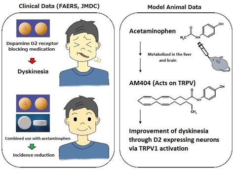 Side effects of schizophrenic drugs:Dyskinesia suppressed by combined use of antipyretic ...