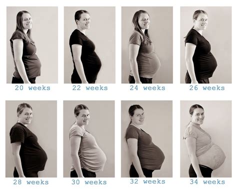 Stages Of Pregnancy With Triplets