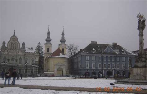 Timisoara in Timisoara: 6 reviews and 28 photos