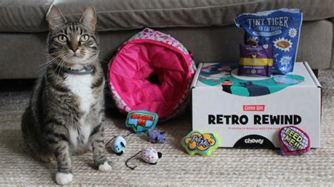 Chewy Cat Goody Box review: It's purr-fect - Reviewed