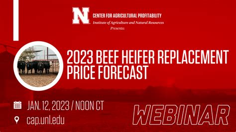 2023 Beef Heifer Replacement Price Forecast (Jan. 12, 2023 Webinar) | Center for Agricultural ...