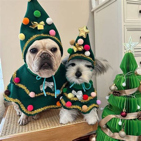 Handmade Luxury Dog Christmas Tree Costume – Frenchiely