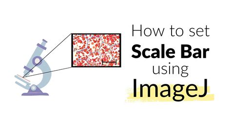 How to set Scale Bar using ImageJ software | Microscope | Imaging #howto #image - YouTube