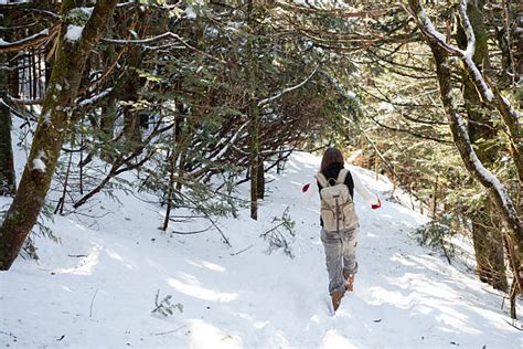 Woman Hiking Appalachian Trail Stock Photos, Pictures & Royalty-Free ...