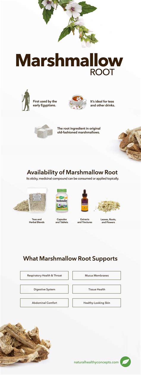 Marshmallow Root - Digestive & Skin Health | NHC