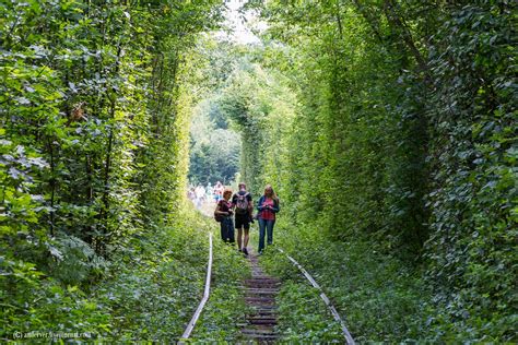 “The Tunnel of Love” – the most picturesque place in Ukraine · Ukraine travel blog