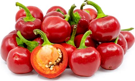 Red Cherry Chile Peppers Information and Facts