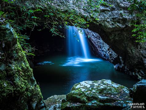 Springbrook National Park - Waterfalls and Forests - Gold Coast