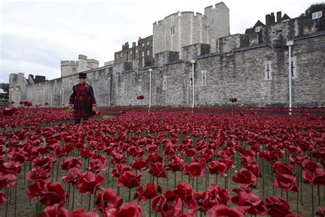 WWI 100th Anniversary: How Brand Poppy Lost Its Power