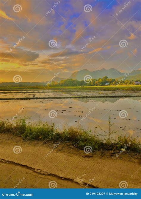 Persawahan stock image. Image of belajarlah, dari, semakin - 219103207