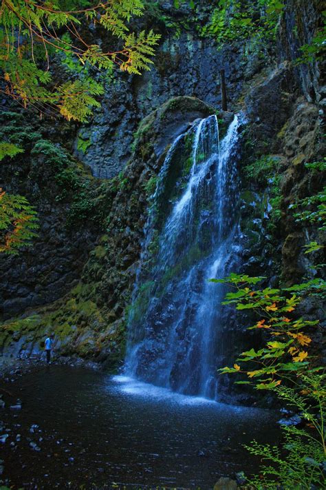 Fall Creek Falls | Fall creek, Oregon waterfalls, Cool photos