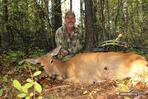 Do Wider Broadhead Designs Kill Faster? | Bowhunting.com