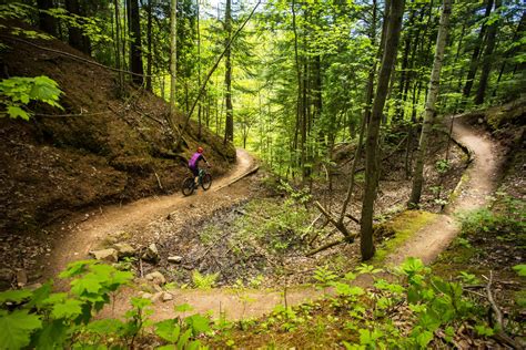 Carving New Trails at Peninsula State Park - Door County Pulse