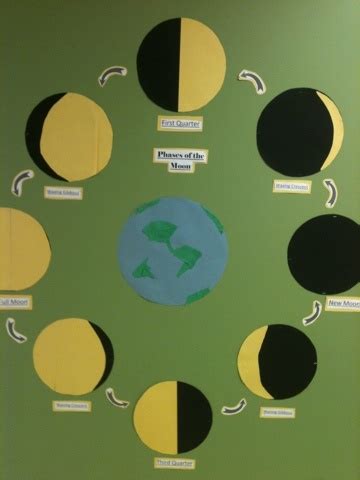 Fourth Grade! Moon Cycles | Moon lessons, Moon projects, Science lessons