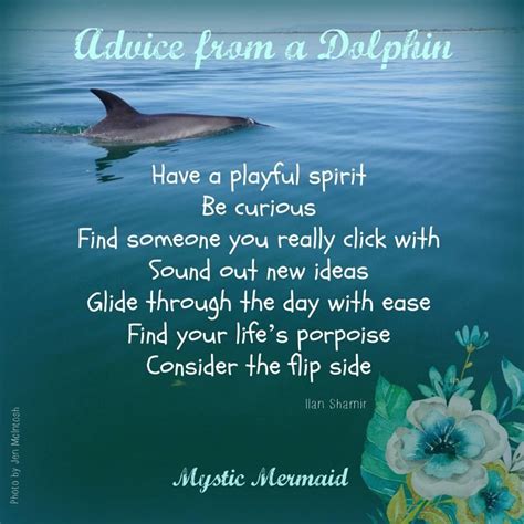 Dolphin Quotes Goodreads - Eva Stopa