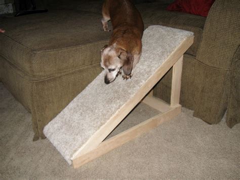 DIY Dog Ramp - petdiys.com