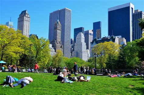 Central Park City / Central Park at The Mall during predawn, Manhattan, New ... : Central park ...