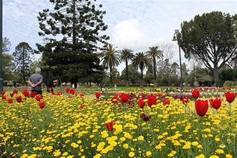 Toowoomba in full bloom for Carnival of Flowers - ABC News