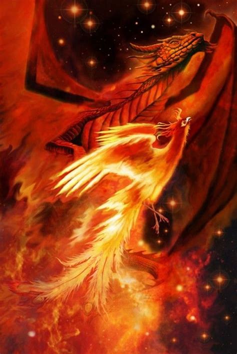 le phoenix oiseau l gendaire | Phoenix dragon, Phoenix art, Phoenix artwork