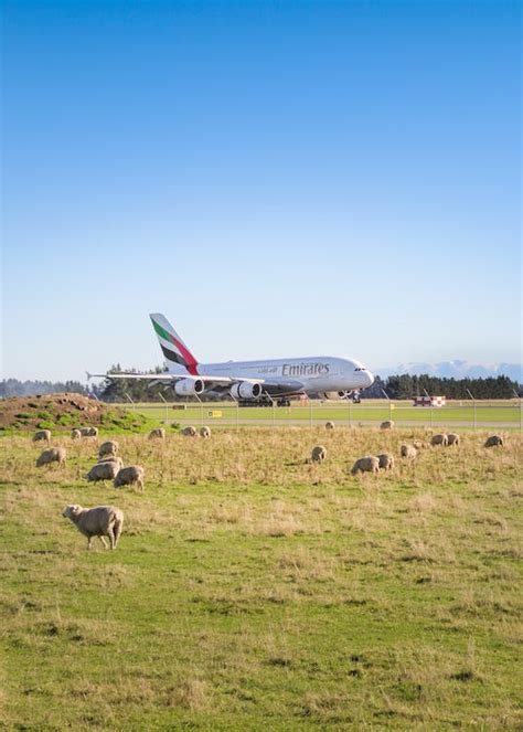 Airbus A380 Airliner landing in New Zealand · Free Stock Photo