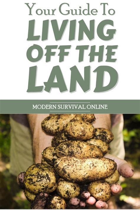 Your Guide To Living Off The Land - Start Here - Modern Survival Online