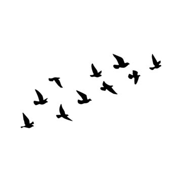 Flying Birds Silhouette Vector, Birds, Flying Birds, Birds Silhouette PNG and Vector with ...