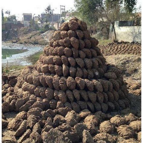 Round Cow Dung Cake at Rs 2/piece | Cow waste in Mumbai | ID: 18362362773