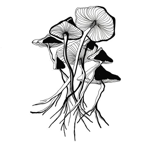 Simple Mushroom Drawing | Free download on ClipArtMag