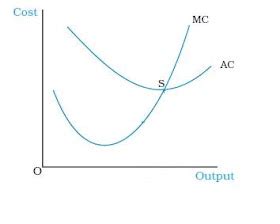 Economics: Marginal Cost and Average Cost curves