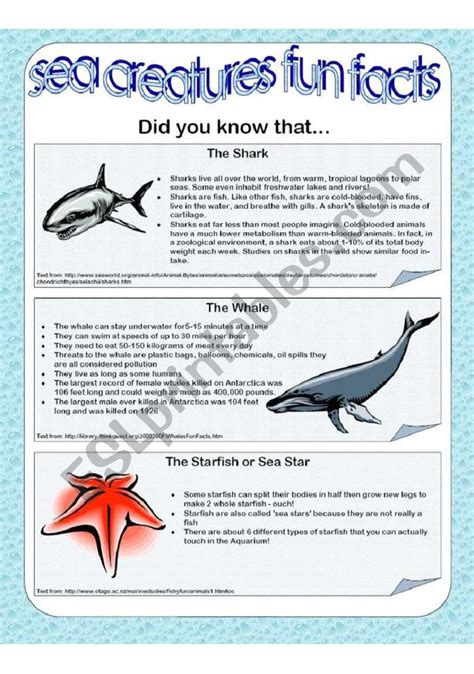 Sea Creatures Fun Facts - Part 2 of 2 - ESL worksheet by ichacantero