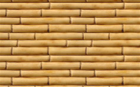 Free photo: Bamboo texture - Bamboo, Texture, Wood - Free Download - Jooinn